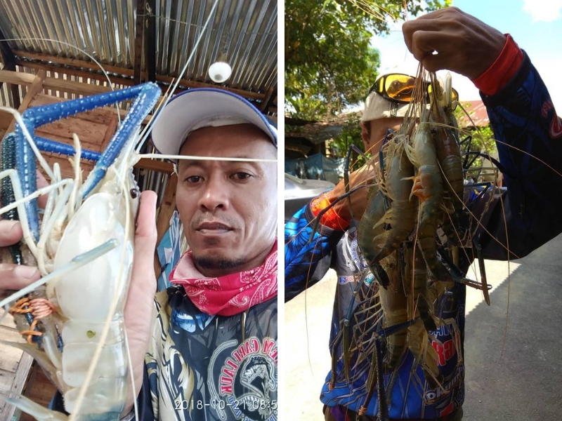 IKON: Otai Jenggo – Pakwan, Masta Jenggo Batu 8 - Umpan